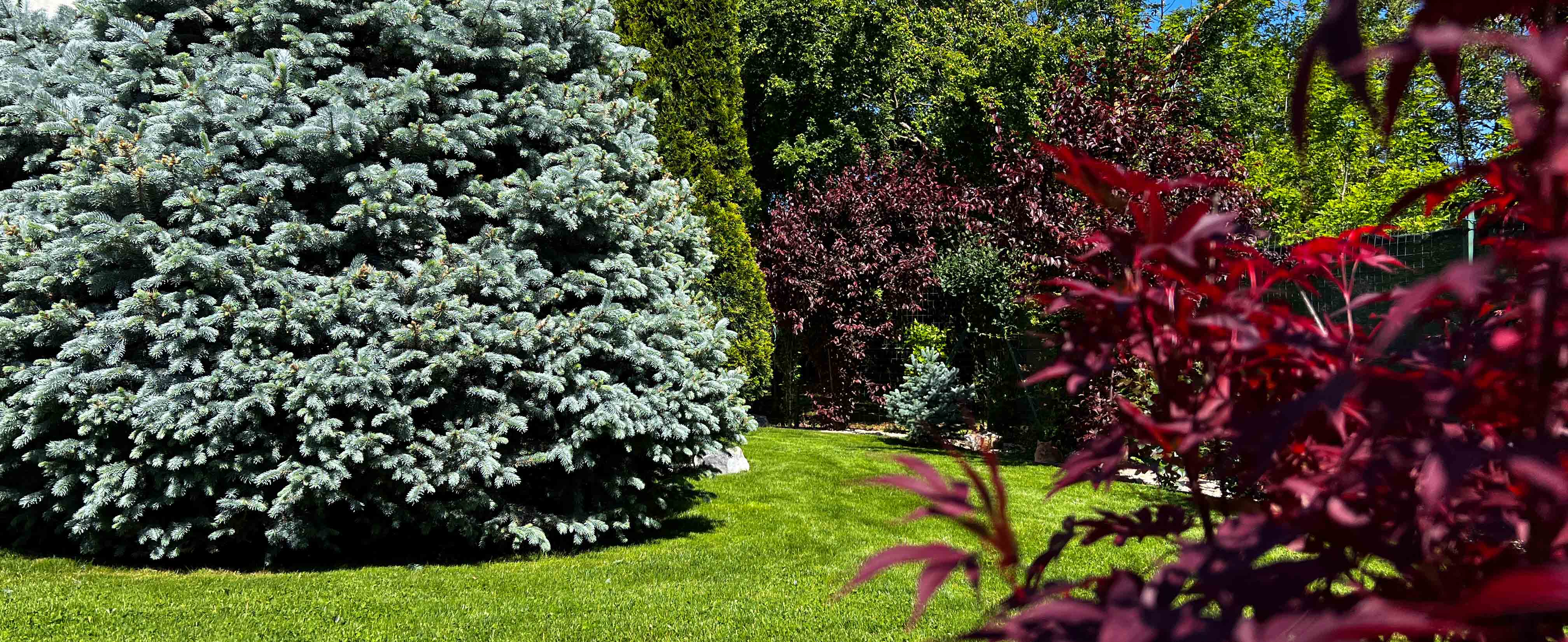 Gradina garden family model 2